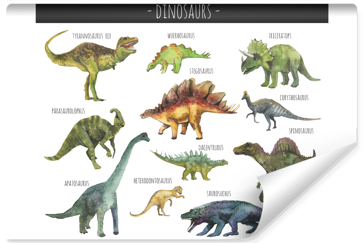 Fototapeta Akwarelowe DINOZAURY Gatunki 3D 180x120cm