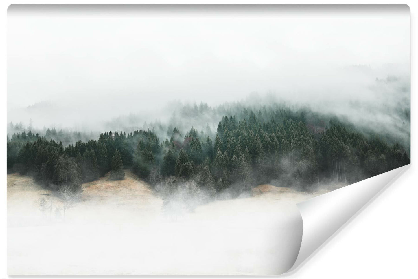 Fototapeta Do Salonu Leśny Pejzaż We Mgle 450x300cm